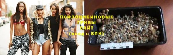 индика Володарск