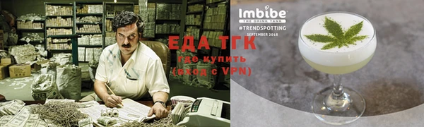 гидра Тында
