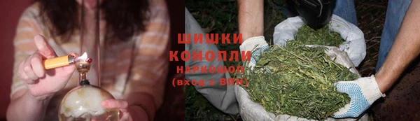 индика Володарск