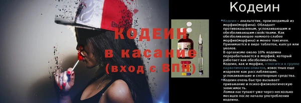 индика Володарск