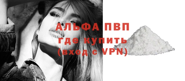индика Володарск