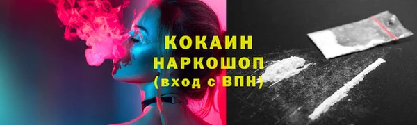 гидра Тында