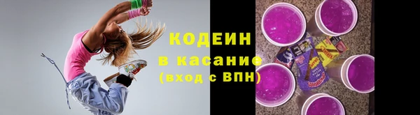 индика Володарск