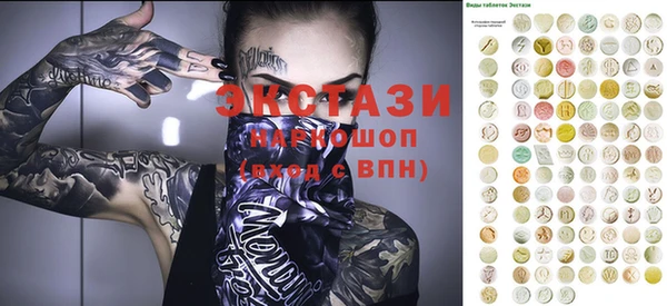 гидра Тында