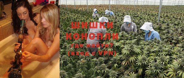 гидра Тында