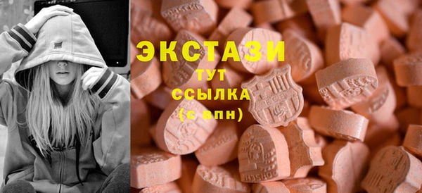 индика Володарск