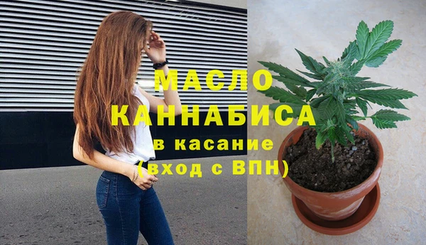 гидра Туринск