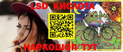 apvp Камышлов
