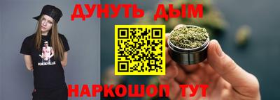 apvp Камышлов