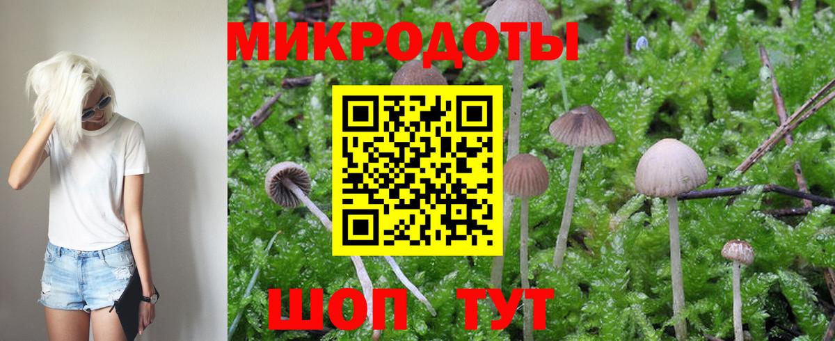 Псилоцибиновые грибы Psilocybine cubensis  Вход с VPN  купить закладку  Мариинск 